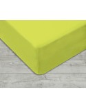 Prześcieradło bawełna jersey 160x200x20 z gumką zielone Darymex