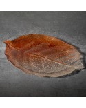 Patera dekoracyjna 35x24x3cm Sava/03 pomarańczowa  Eurofirany