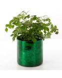 Doniczka dekoracyjna 12x12cm Verre 3/3 zielona Eurofirany