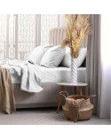 Prześcieradło bawełna frotte Premium 160x200x20 z gumką białe Darymex