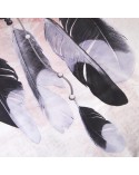 Pościel satyna bawełniana 180x200 + 2x70x80cm 22406 PANELOVE Darymex 