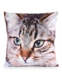 Poszewka minky 45x45 Animal 67 Eurofirany