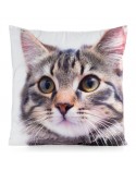 Poszewka minky 45x45 Animal 71 Eurofirany