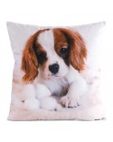 Poszewka minky 45x45 Animal 72 Eurofirany