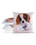 Poszewka minky 45x45 Animal 72 Eurofirany