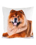Poszewka minky 45x45 Animal 73 Eurofirany