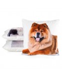 Poszewka minky 45x45 Animal 73 Eurofirany