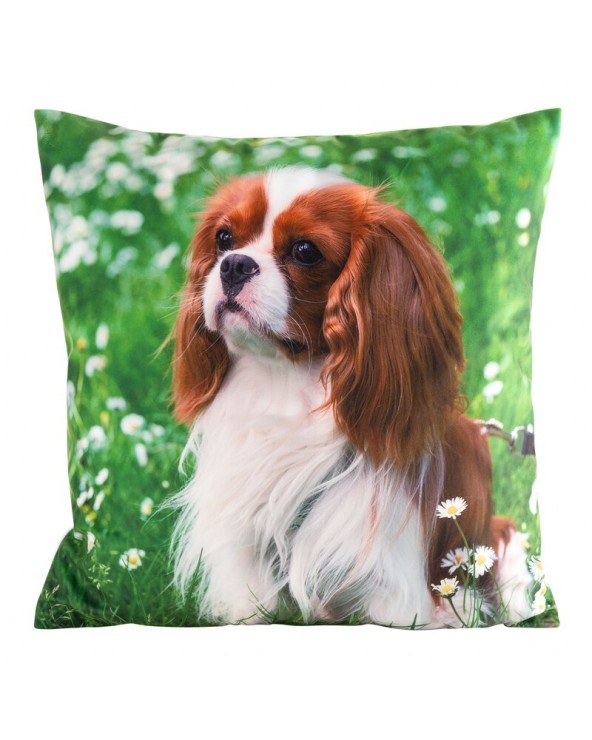 Poszewka minky 45x45 Animal 74 Eurofirany