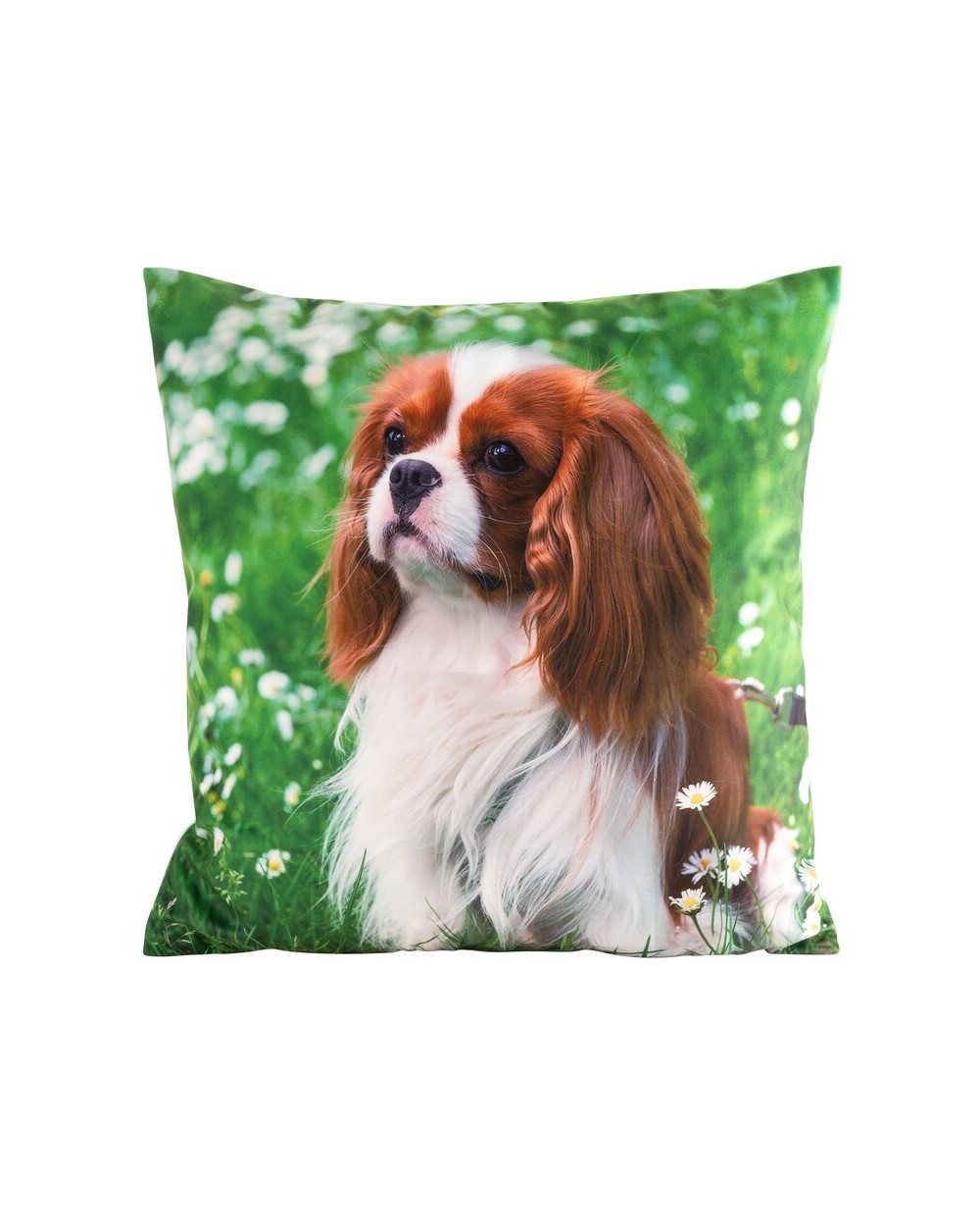 Poszewka minky 45x45 Animal 74 Eurofirany