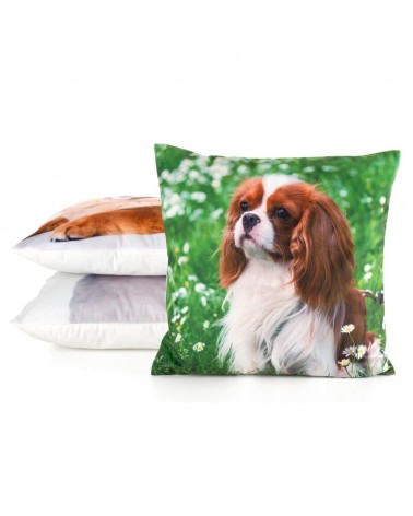 Poszewka minky 45x45 Animal 74 Eurofirany