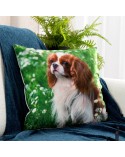 Poszewka minky 45x45 Animal 74 Eurofirany
