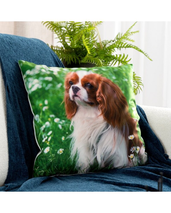 Poszewka minky 45x45 Animal 74 Eurofirany