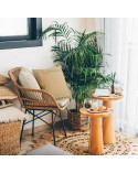 Poszewka z frędzlami 45x45 Boho 2 srebrna Eurofirany