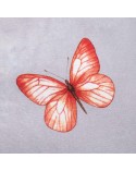Pościel flanela bawełniana 160x200 + 2x70x80cm 31512/2 FLANELOVE Darymex
