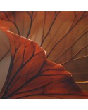 Pościel satyna bawełniana 180x200 + 2x70x80cm 12407 SATYNLOVE PREMIUM Darymex
