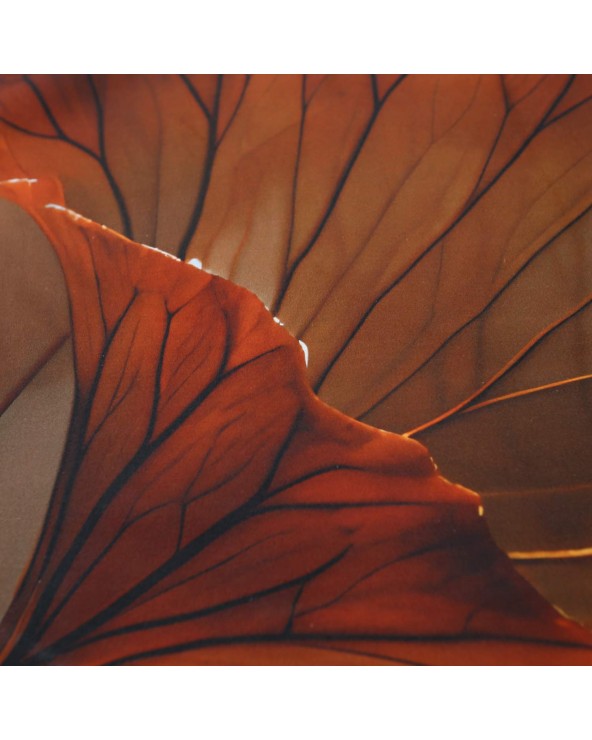 Pościel satyna bawełniana 200x220 + 2x70x80cm 12407 SATYNLOVE PREMIUM Darymex