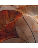 Pościel satyna bawełniana 200x220 + 2x70x80cm 12407 SATYNLOVE PREMIUM Darymex