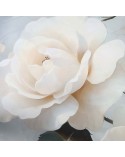 Pościel satyna bawełniana 200x220 + 2x70x80cm 12413 SATYNLOVE PREMIUM Darymex