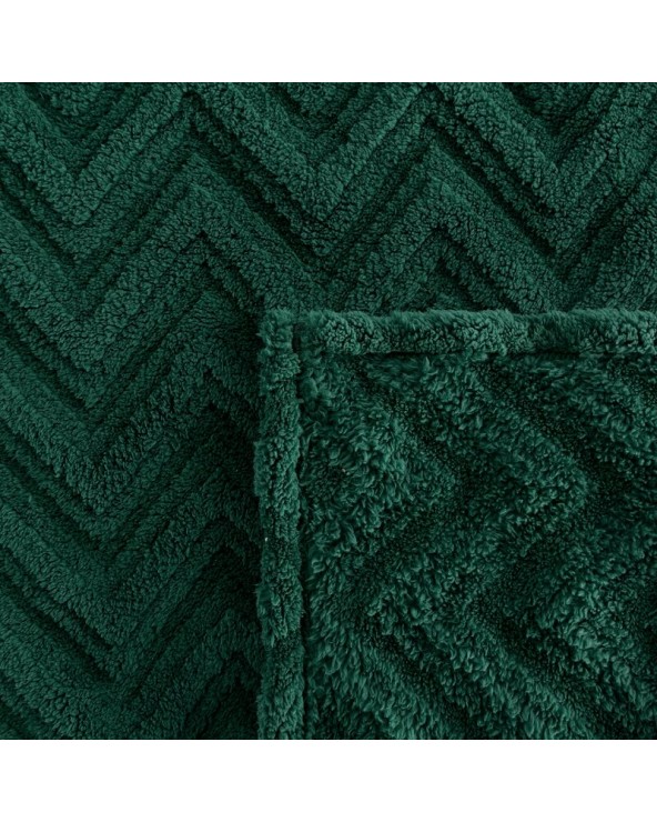 Koc pluszowy 170x210 Jodła ciemnozielony Eurofirany