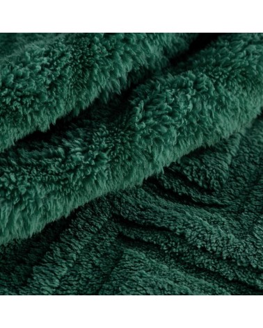 Koc pluszowy 170x210 Jodła ciemnozielony Eurofirany
