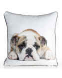 Poszewka velvet 45x45 Animal 81 Eurofirany