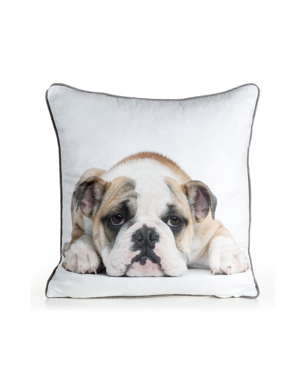 Poszewka velvet 45x45 Animal 81 Eurofirany