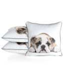 Poszewka velvet 45x45 Animal 81 Eurofirany