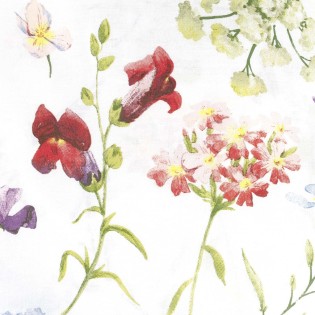 Pościel bawełna 160x200 + 2x70x80cm 71507/1 COTTONLOVE Darymex
