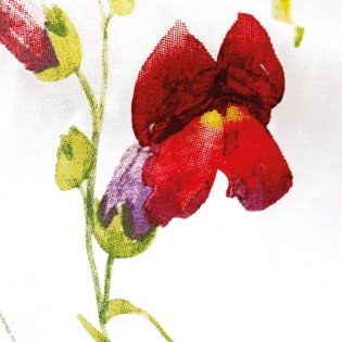 Pościel bawełna 200x220 + 2x70x80cm 71507/1 COTTONLOVE Darymex