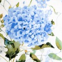 Pościel flanela bawełniana 200x220 + 2x70x80cm 31522/1 FLANELOVE Darymex