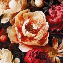 Pościel satyna bawełniana 200x220 + 2x70x80cm Panera Luxury Premium Darymex