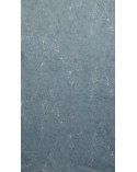Zasłona welwetowa 140x250 Wera grafitowa z przelotkami